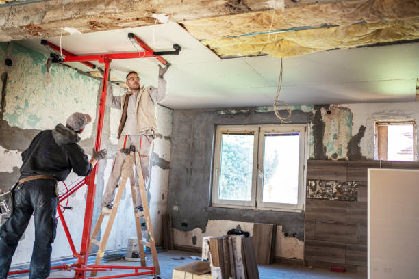Best Cellulose Insulation  in Murrysville, PA