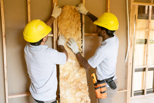 Best Insulation Repair Services  in Murrysville, PA